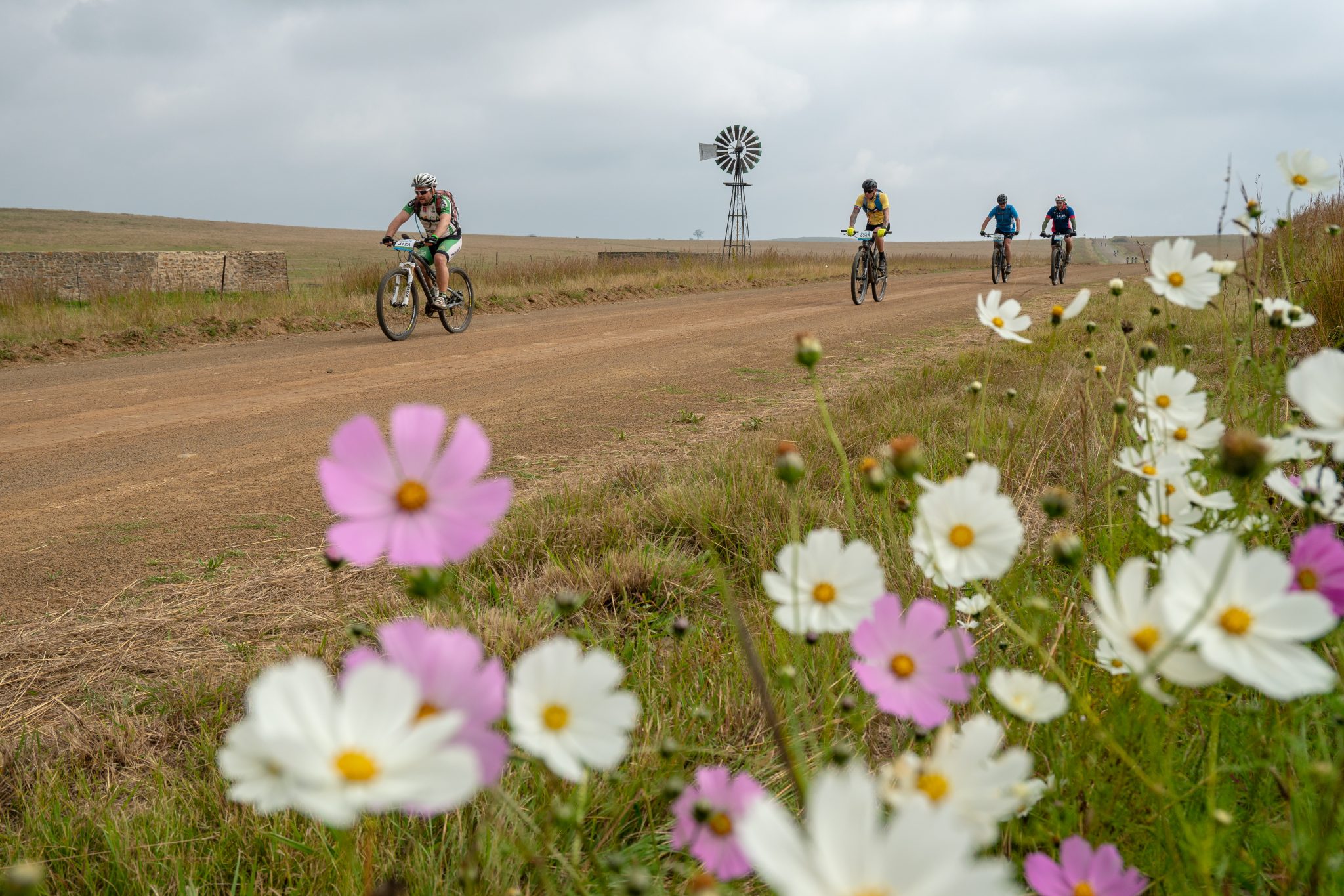 Mountain Bike South Africa Go2berg   Cosmos Day 2 2048x1365 